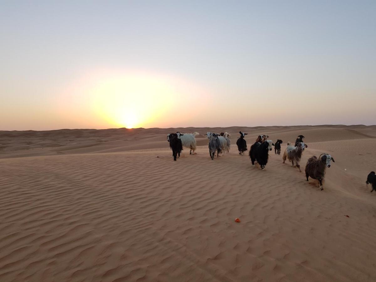Private Bedouin Tent -Odpc Shahiq Exterior photo