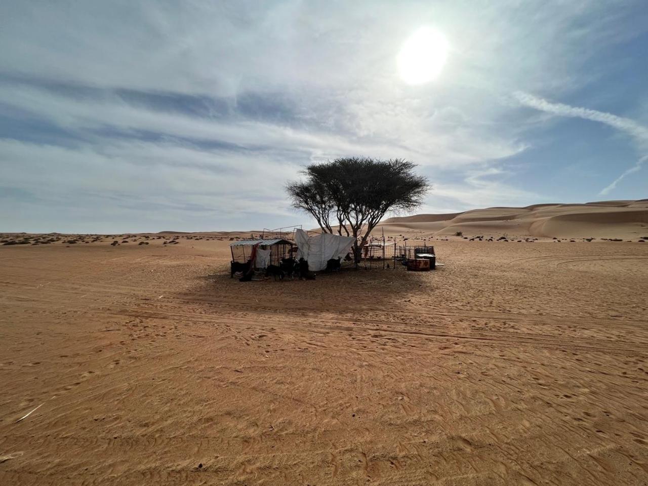 Private Bedouin Tent -Odpc Shahiq Exterior photo